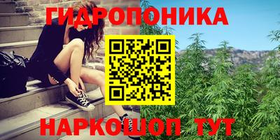 каннабис Малгобек