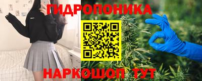 стаф Малоярославец
