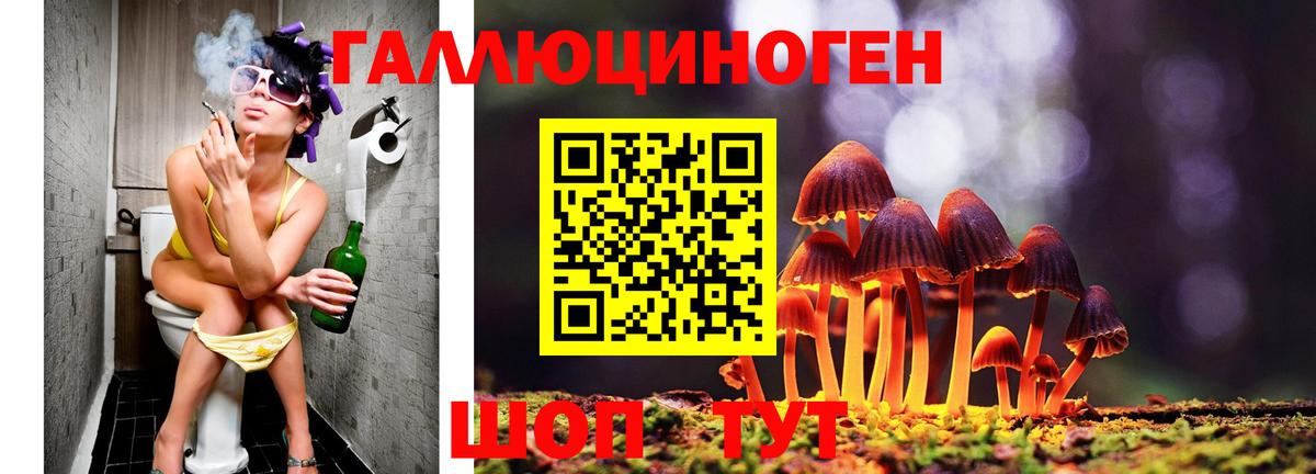 Псилоцибиновые грибы Cubensis  сколько стоит  Чернушка  Вход с VPN  Псилоцибиновые грибы мухоморы 
